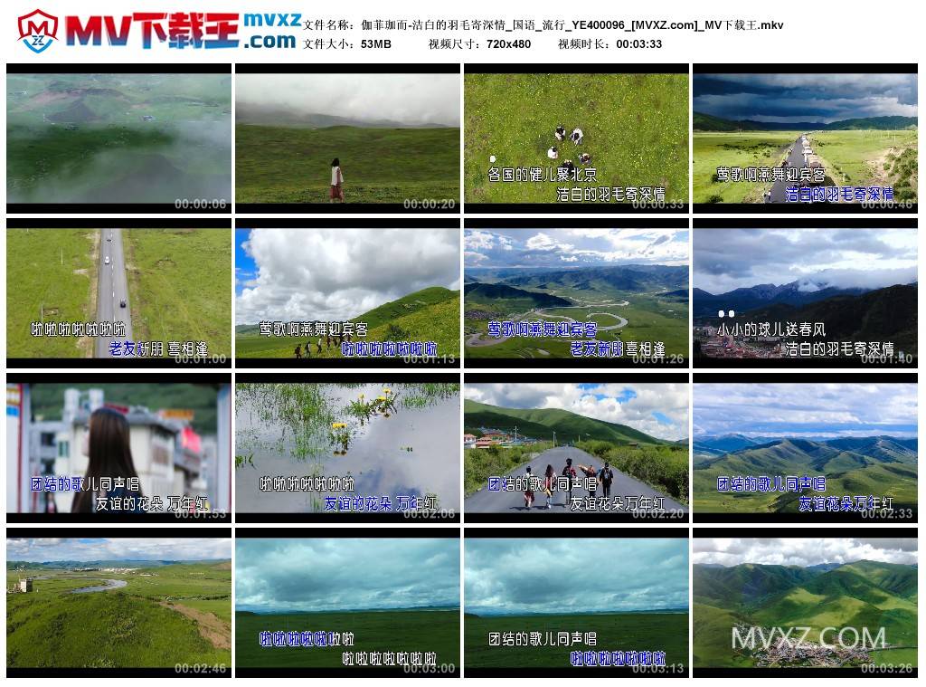 伽菲珈而-洁白的羽毛寄深情_国语_流行_YE400096